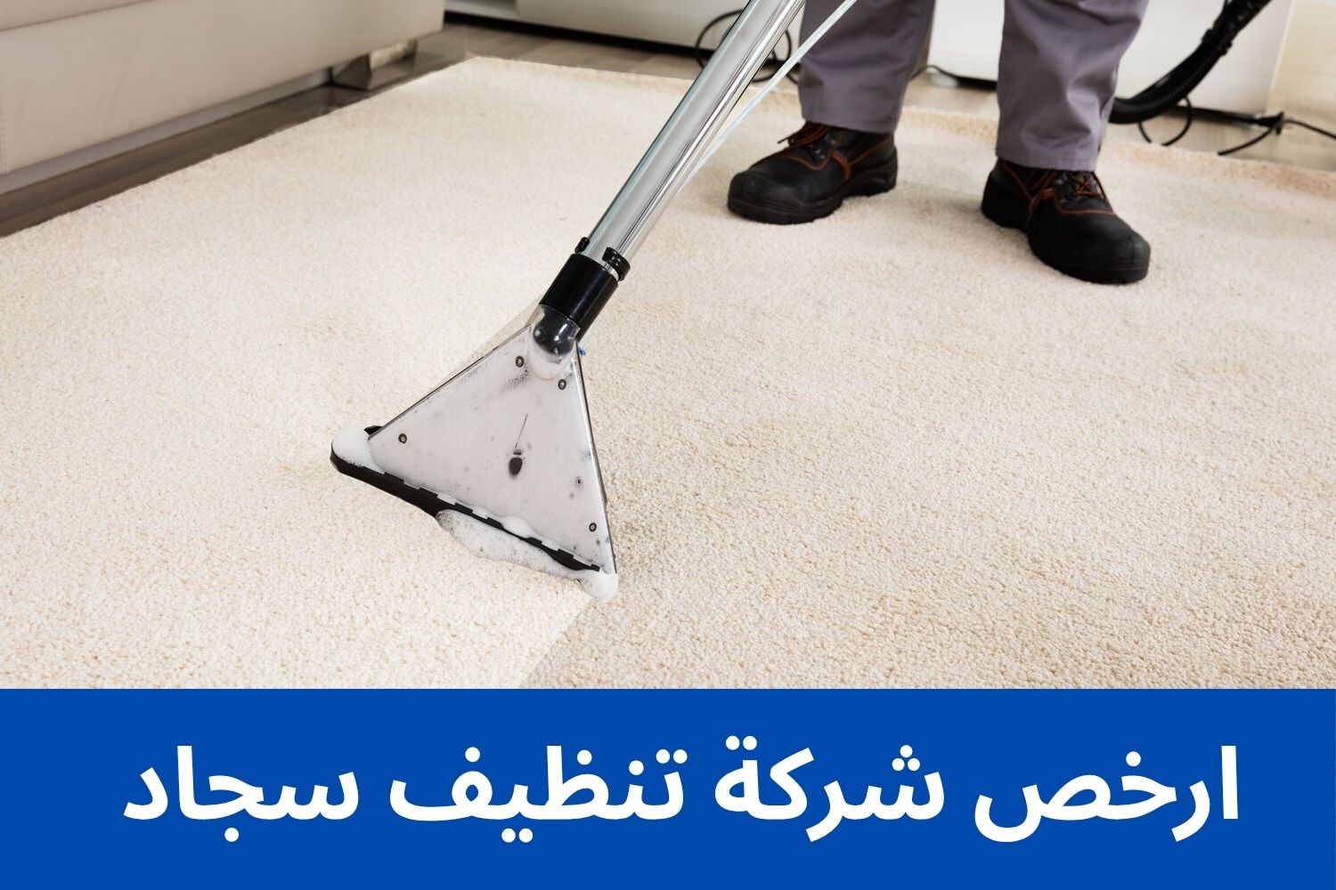ارخص شركة تنظيف سجاد
