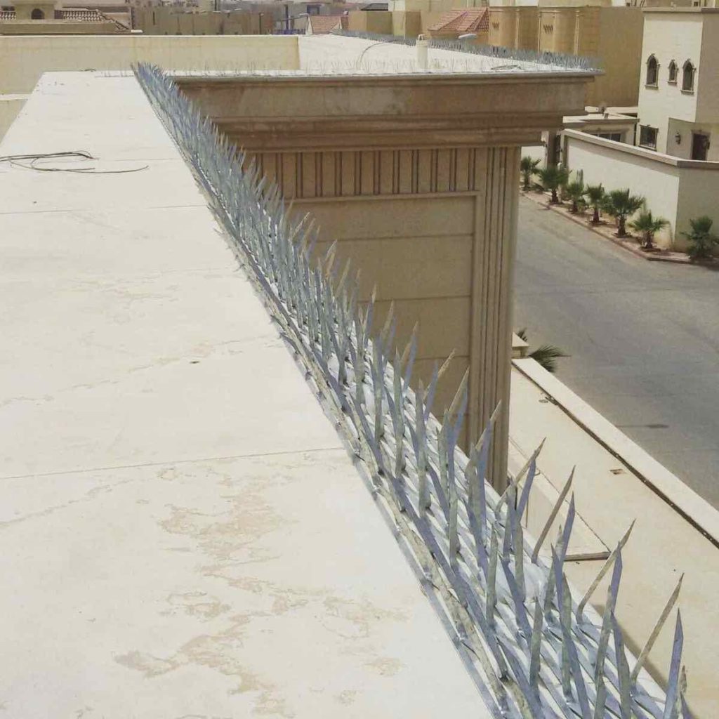 شركة مكافحة الحمام